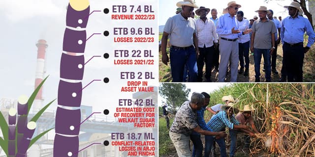 Belated Financial Report Unravels Scope of Sugar Industry Group’s Woes